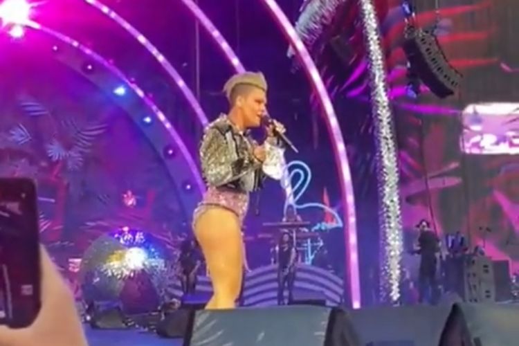 vip-incredibile-per-pink-fan-le-getta-sul-palco-le-ceneri-della-madre-video