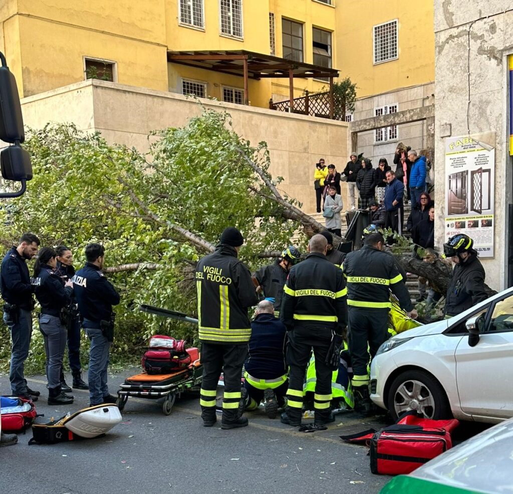 cronaca-roma-crolla-un-albero-donna-travolta-e-uccisa-dramma-a-monteverde